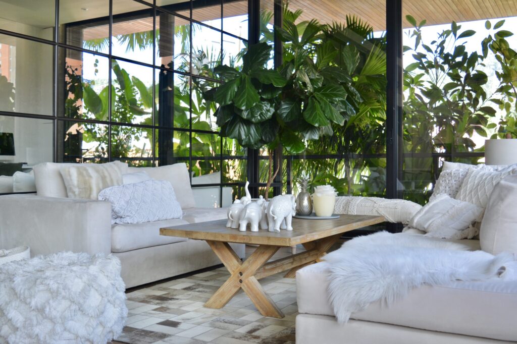 sala 5